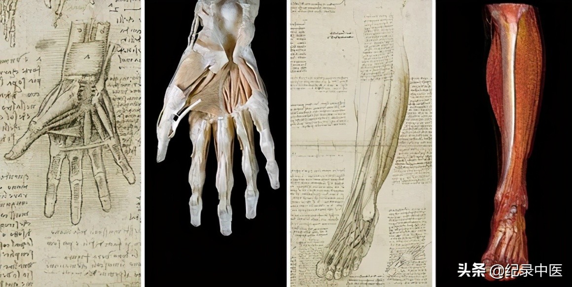 经络真的存在吗,真实存在的经络