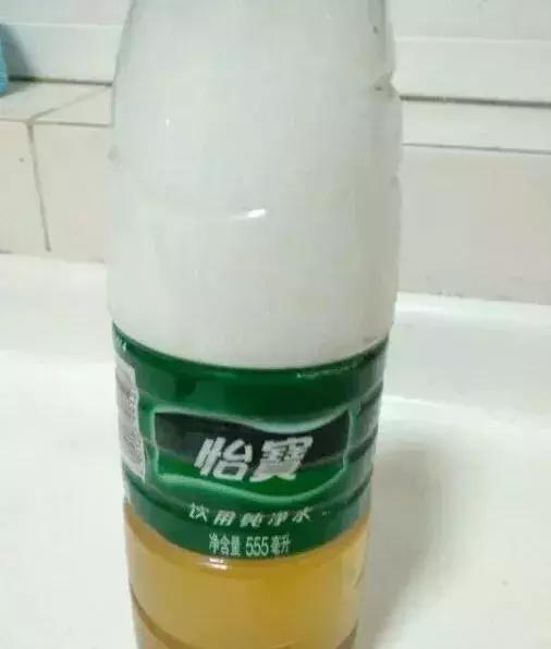 盆下有很多小虫子怎么办,盆里小飞虫用什么药