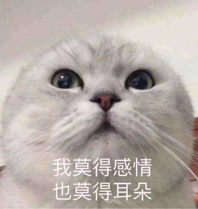 抖音新号要怎么快速涨粉,抖音新号怎么快速涨粉到1000