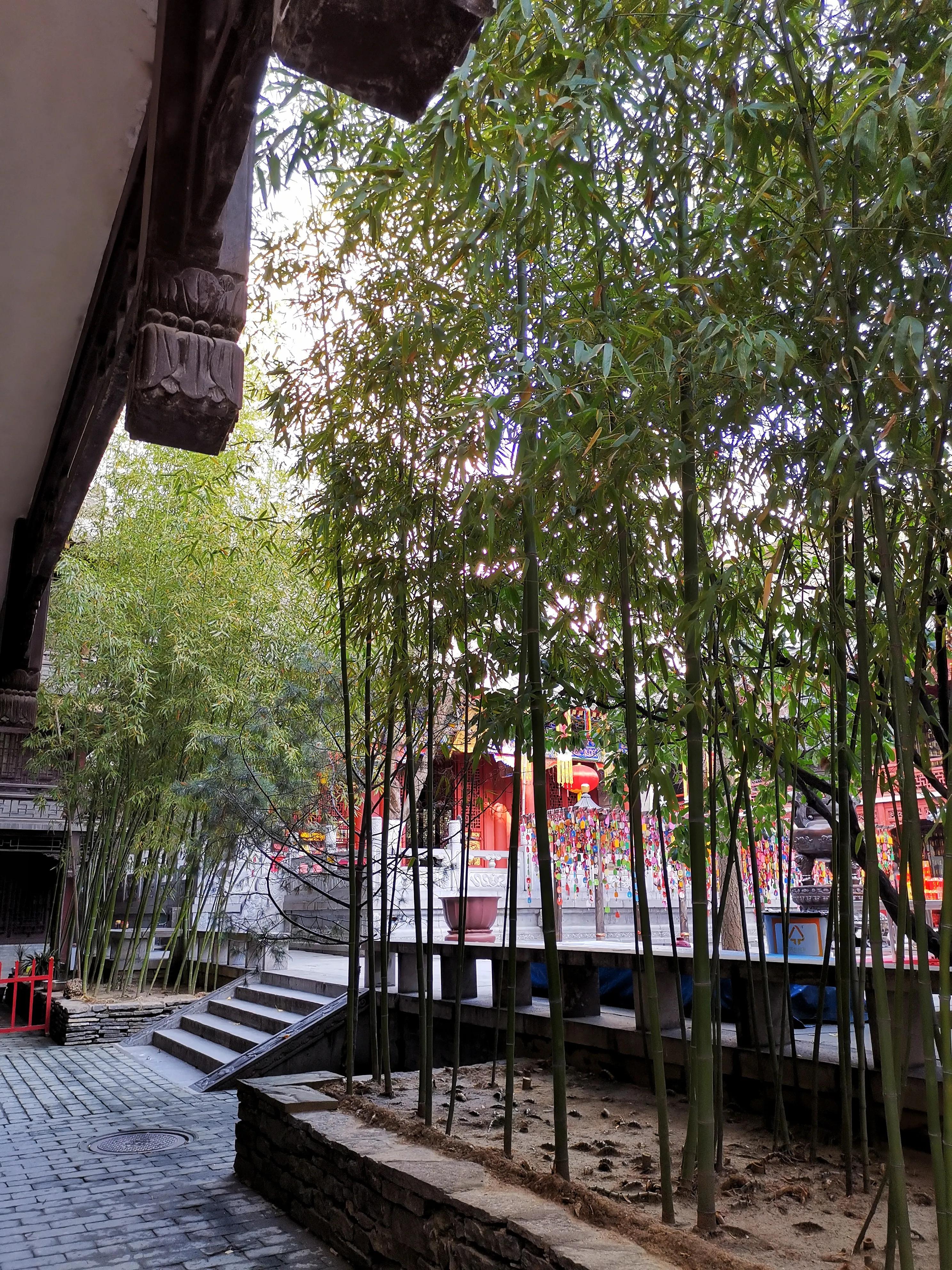 慈恩寺和大雁塔齐名,大慈恩寺除了大雁塔还有什么