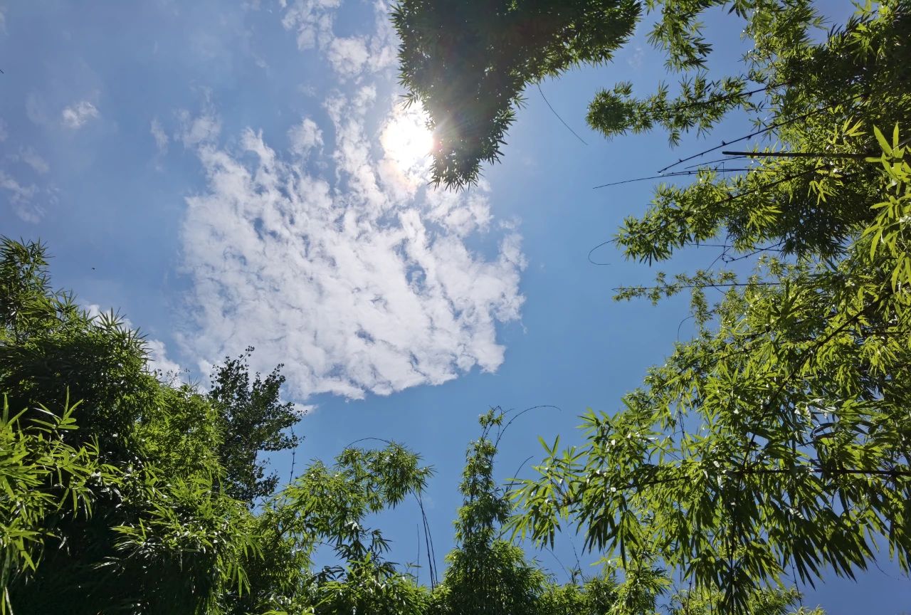 华为p50e上手体验,华为p50手机性能及价格