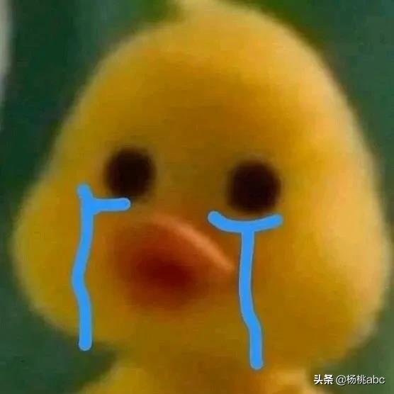 Letsgo!|这个地方竟然这么多综艺节目抢着去?