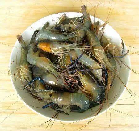 史上最全面的海鲜大咖,史上最全海鲜视频