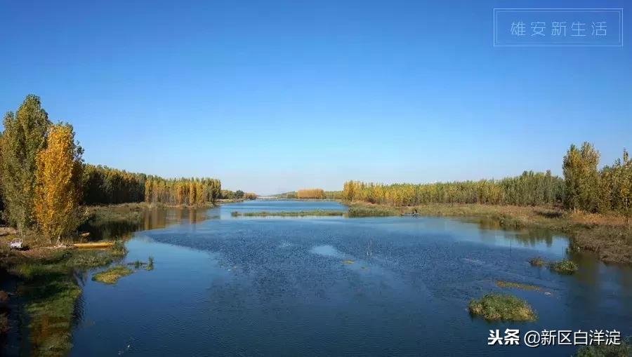 雄安新区纪事：容城印象