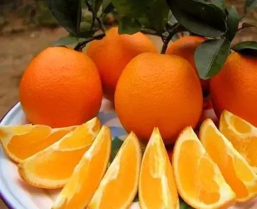 江西客家有哪些地方,江西有哪些地方是客家