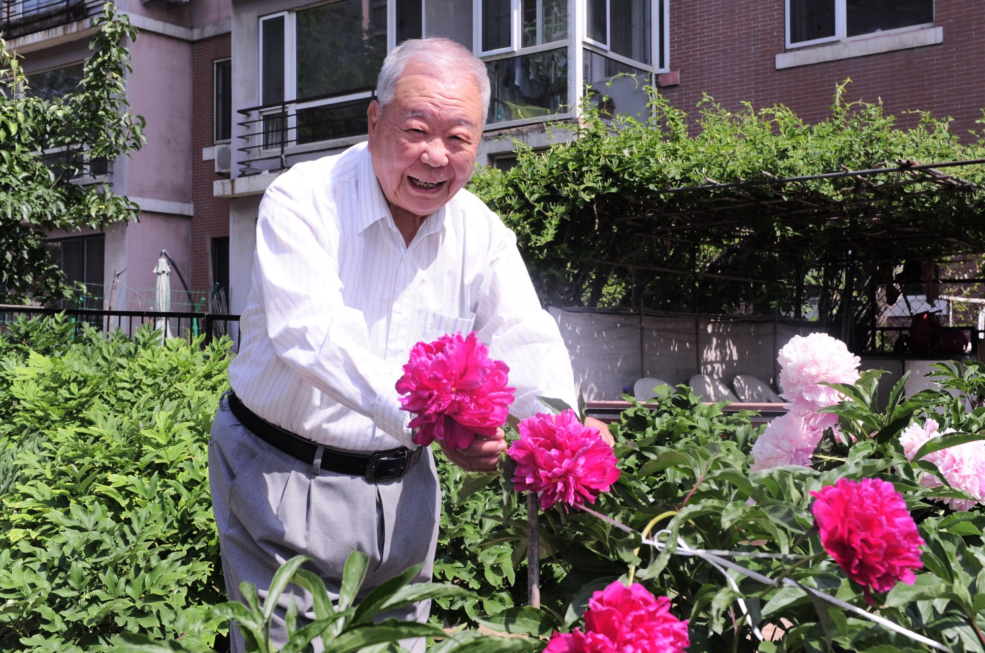 沈阳90岁老人自费建花园如今繁花似锦