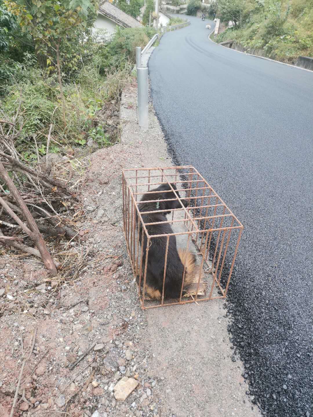 鬼哥的五万里D73*藏西**本纪三（甘洛县-越西县）