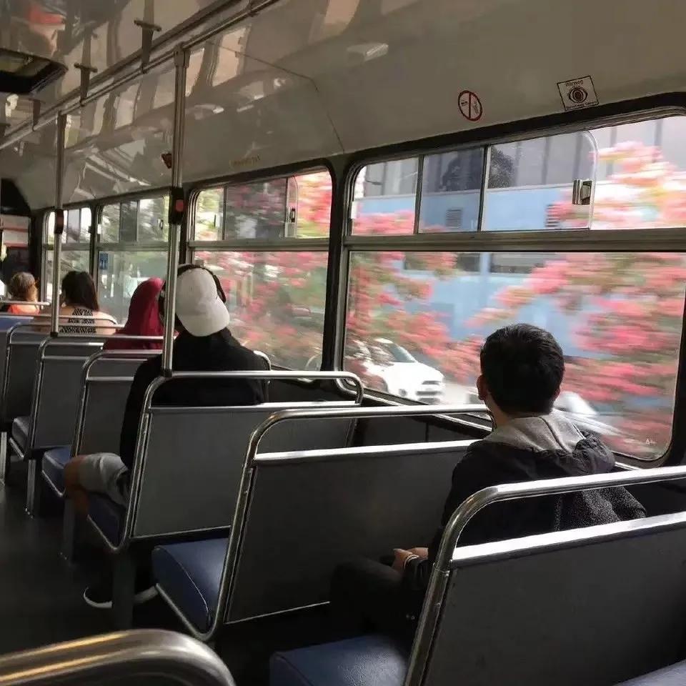 爸妈,我在学校挺好的!武昌理工学院大一新生的“回信”