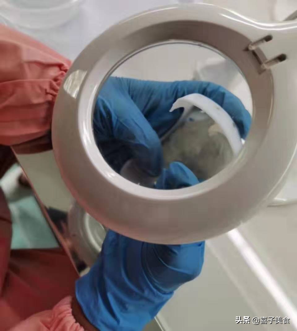 印尼新标准溯源燕窝,印尼未加工的燕窝是怎样的