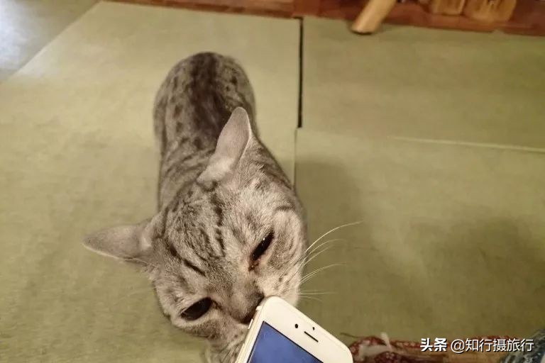 大阪小众景点,去大阪注意事项