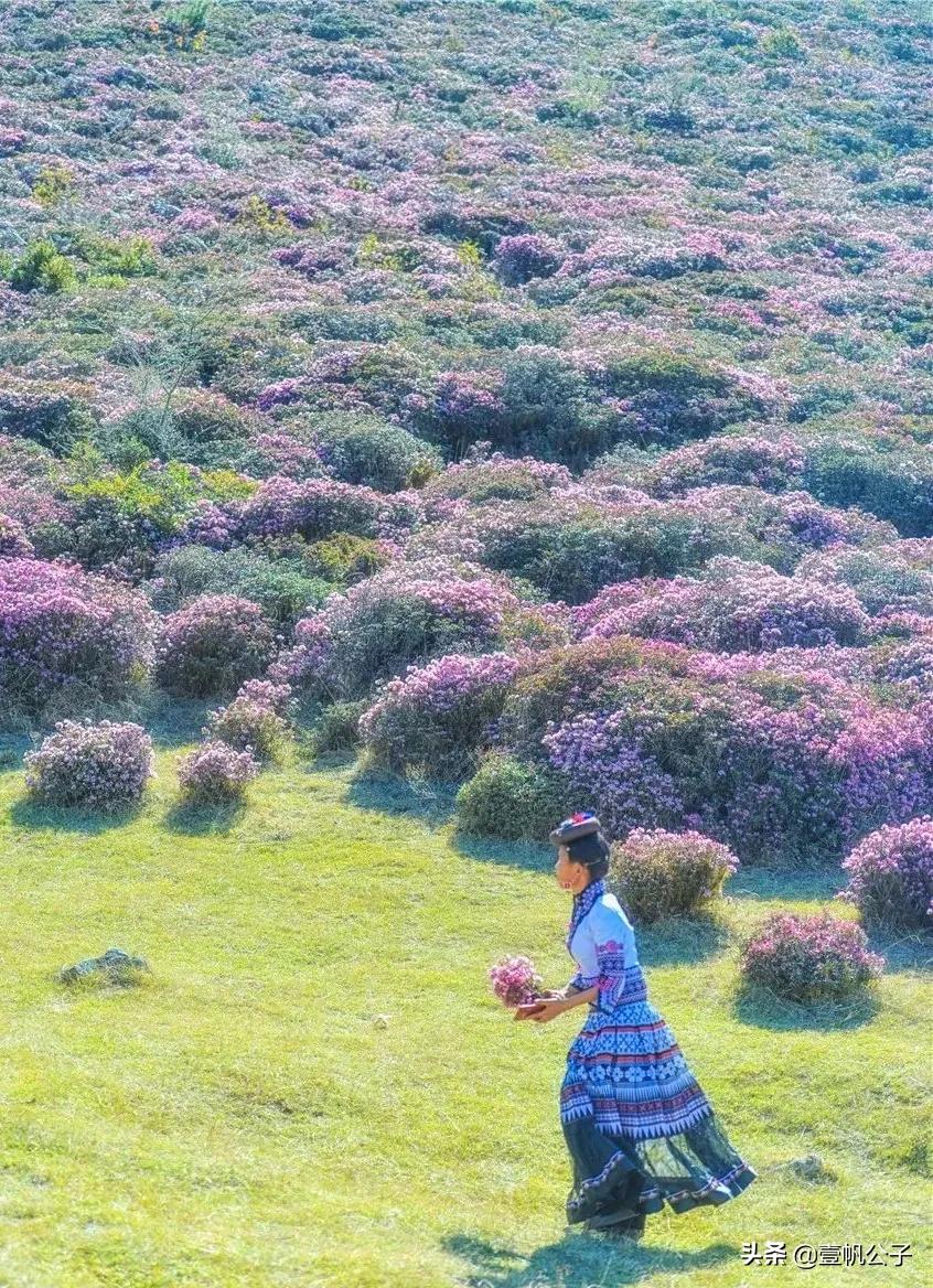 被大理的美景所折服,被丽江的风景美到了