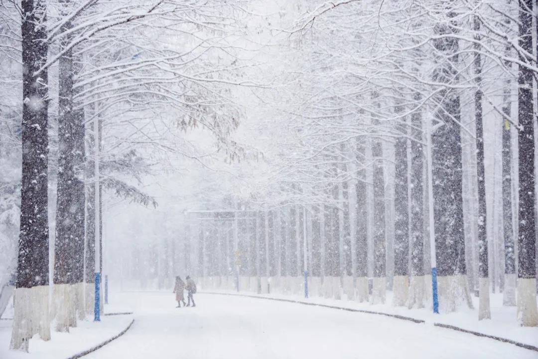 三亚和厦门哪个更值得去玩,三亚和厦门哪个更值得去游玩