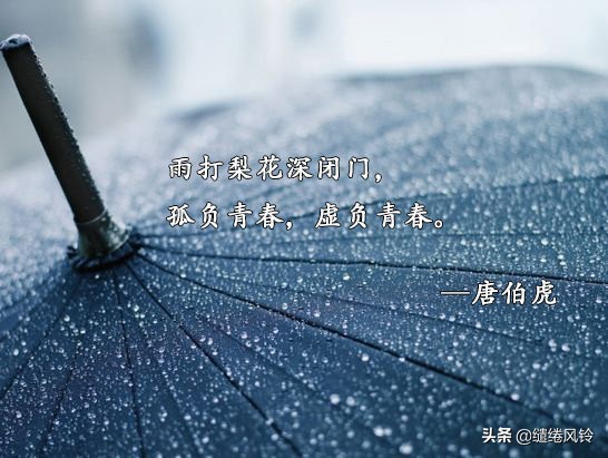 杨柳风杏花雨诗句,沾衣欲湿杏花雨诗句