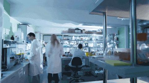 头发发质很蓬松而且很毛躁 (头发稀少不蓬松出油还厉害)