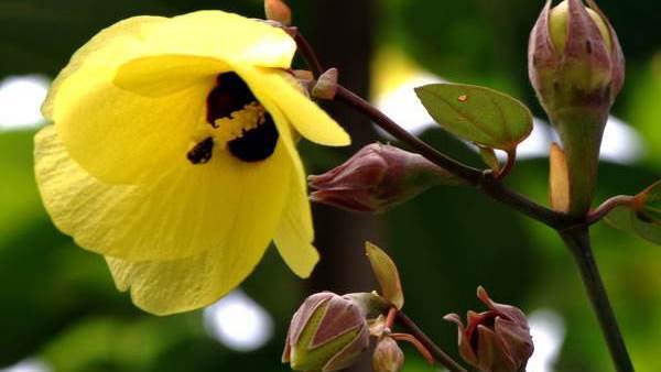 十二星座巨蟹和天蝎兄弟情,天蝎男在十二星座里的排名