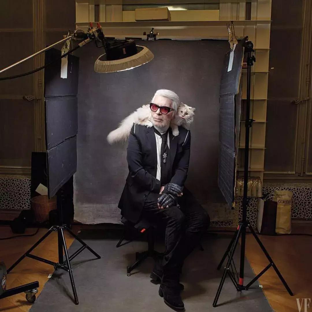 大熊猫一年可以赚钱几个亿,一只猫一年挣3000万