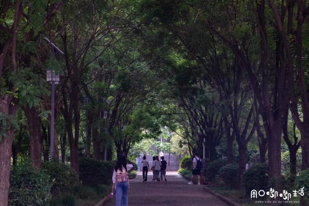 说一说周口师范学院,河南之最之周口师范学院