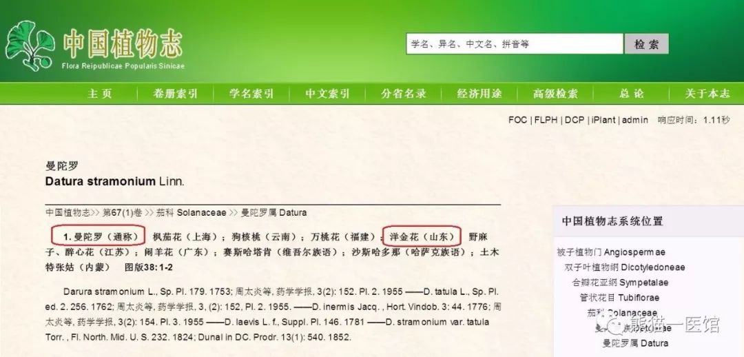 哮喘的克星植物,乡下的一种植物