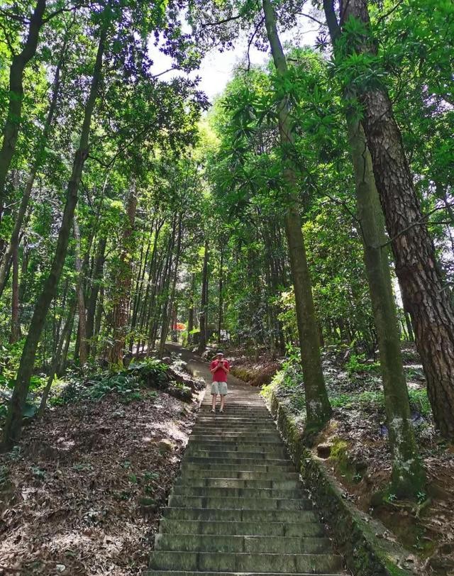广西被低估美食,广西被低估的景点
