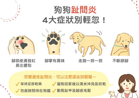 狗狗得了趾间炎听听养狗人怎么说,养狗10年才知道狗狗的3种居家检查