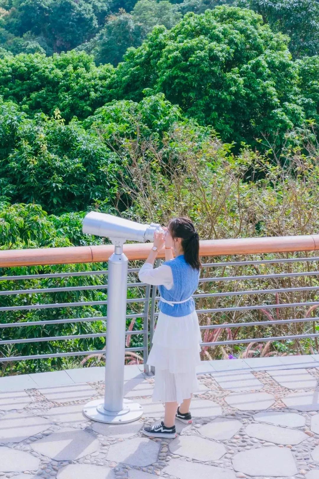 深圳这10条绿道你去过没,深圳十大绿道排行榜