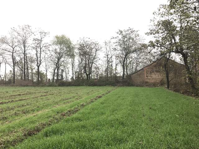 陕西15岁学生被6人围殴致死遭掩埋,陕西15岁少年遭围殴致死后续