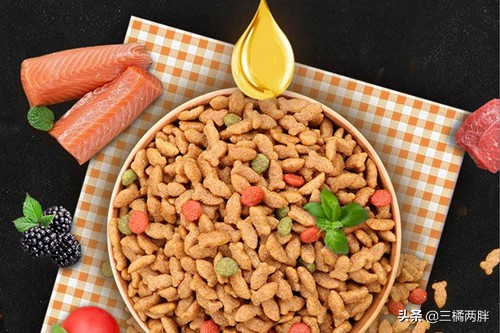 猫咪眼角处有黑色结痂用不用清理,猫咪物语蓝眼睛猫咪