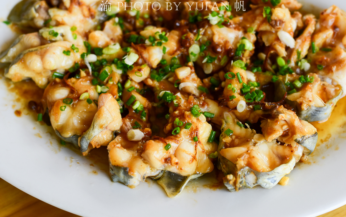 肇庆小众旅行,肇庆后花园美食