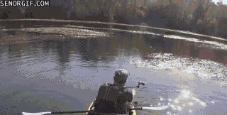 遇见恶霸你怎么办,遇见大鹅你应该怎么逃