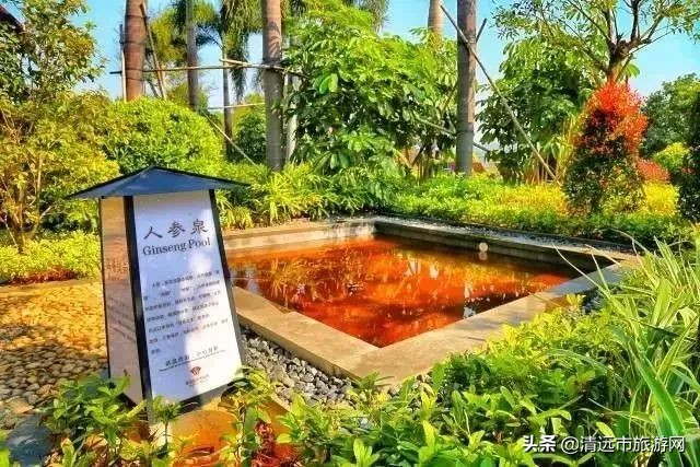 清远新景泉温泉是真温泉吗,清远银盏温泉是天然温泉吗