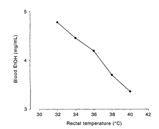 喝酒体温升高持续时间,喝酒后的体温和正常体温差多少呢