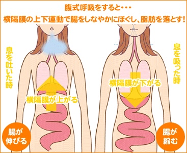 健康常识正能量100个小视频,男性必须知道的健康知识大全