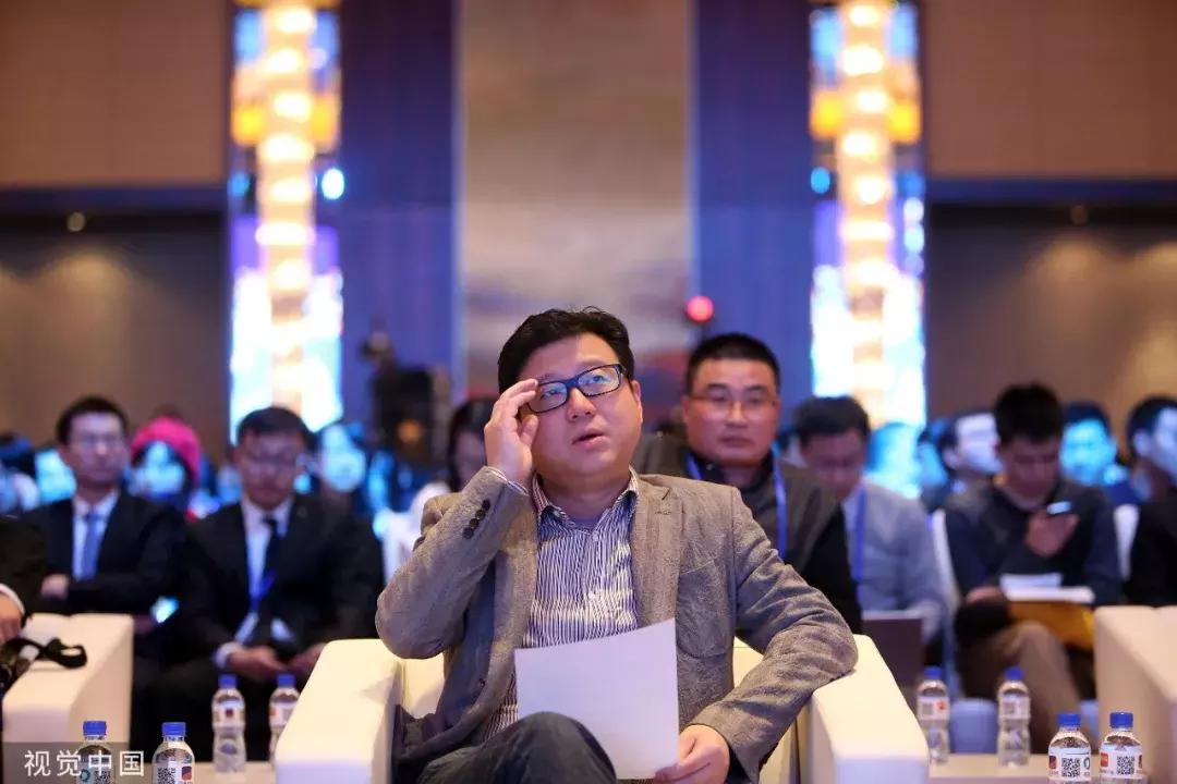 丁磊养的猪有什么,为什么丁磊喜欢养猪