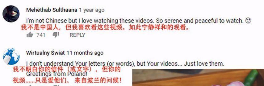 她凭“中华之美”圈粉海外，却被国内网民骂成筛子