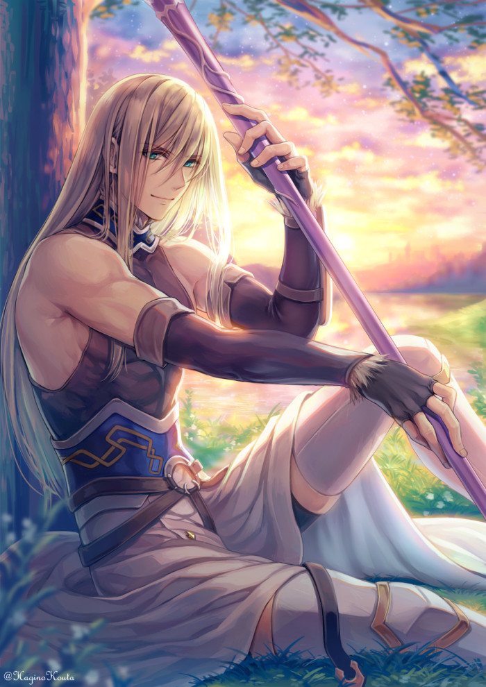 fgo游戏评价,fgo比较强的4星枪阶