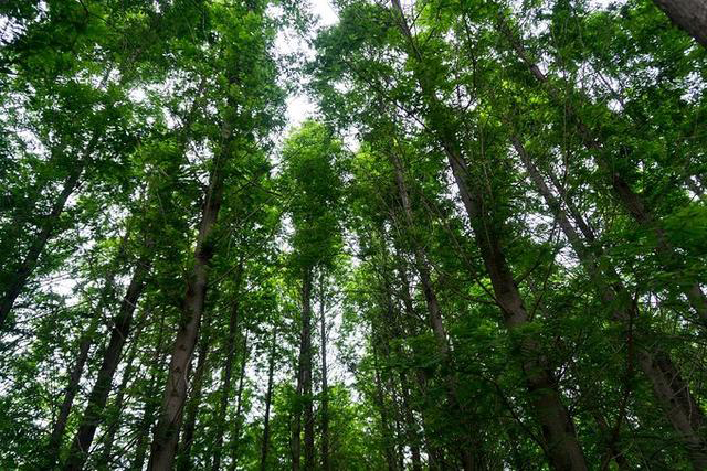 开封自驾日照途中好玩的地方 (开封附近一日游自驾游推荐)