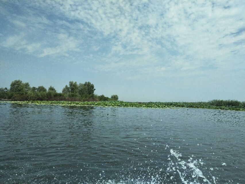 天津白洋淀自驾游,天津白洋淀景区一日游攻略