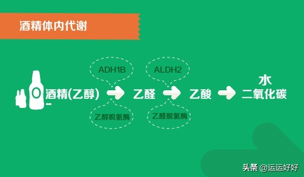 解酒提升酒量快速醒酒神器,喝醉了酒最好的解酒方法是什么