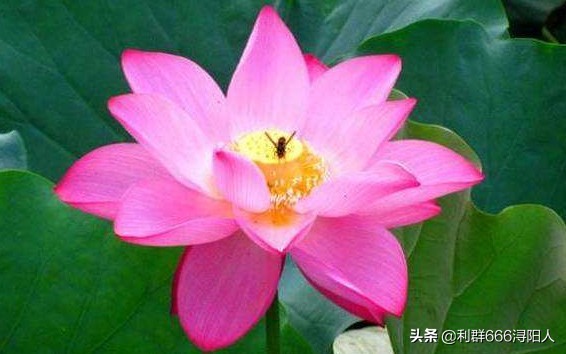 九江和中广场最新动态,九江市和中广场位置