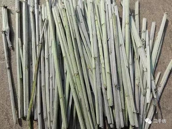 怎样区分好坏艾条,怎样分辨艾条真假