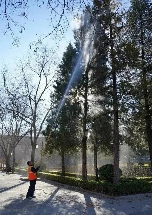 圆柏过敏症状图片,喷嚏是过敏鼻炎引起的吗