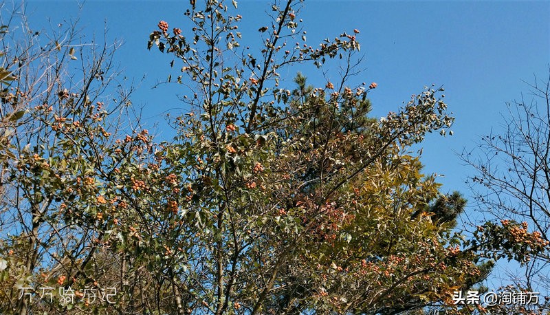 趁青春多折腾,趁着年轻四处游一游