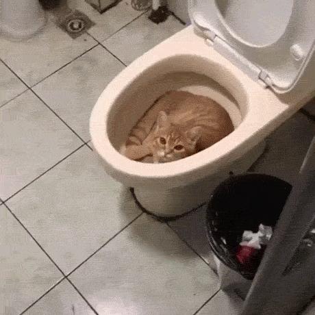 怀疑身边有人给自己下毒没证据,怀疑有人下毒但没证据