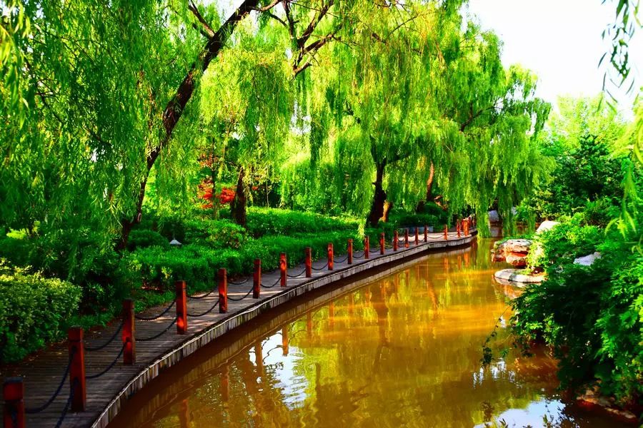 童话小镇在哪里,山东梦幻童话小镇在哪里