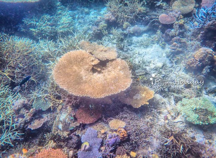 2019年全球必去的52个目的地,2023必去旅游地方排名