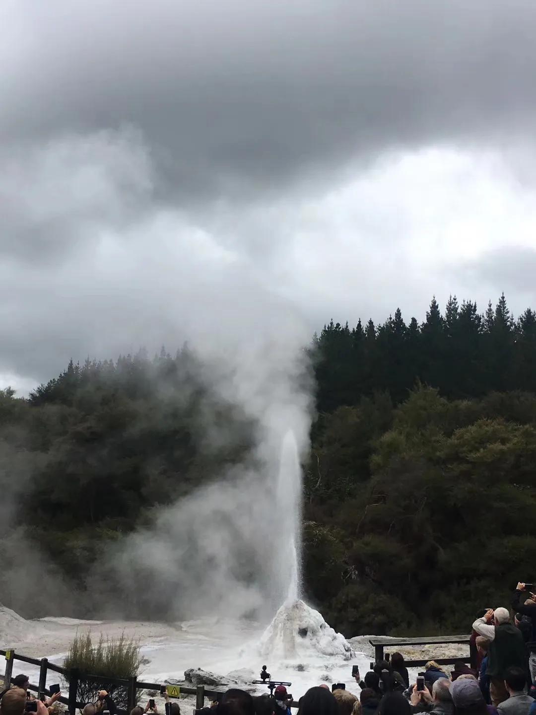 记忆中的旅行之新西兰（北岛）