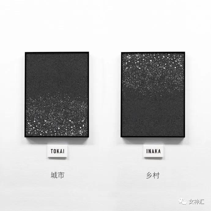 猫咪带回家后不解手,学会哪招才能让不听话的猫咪听话