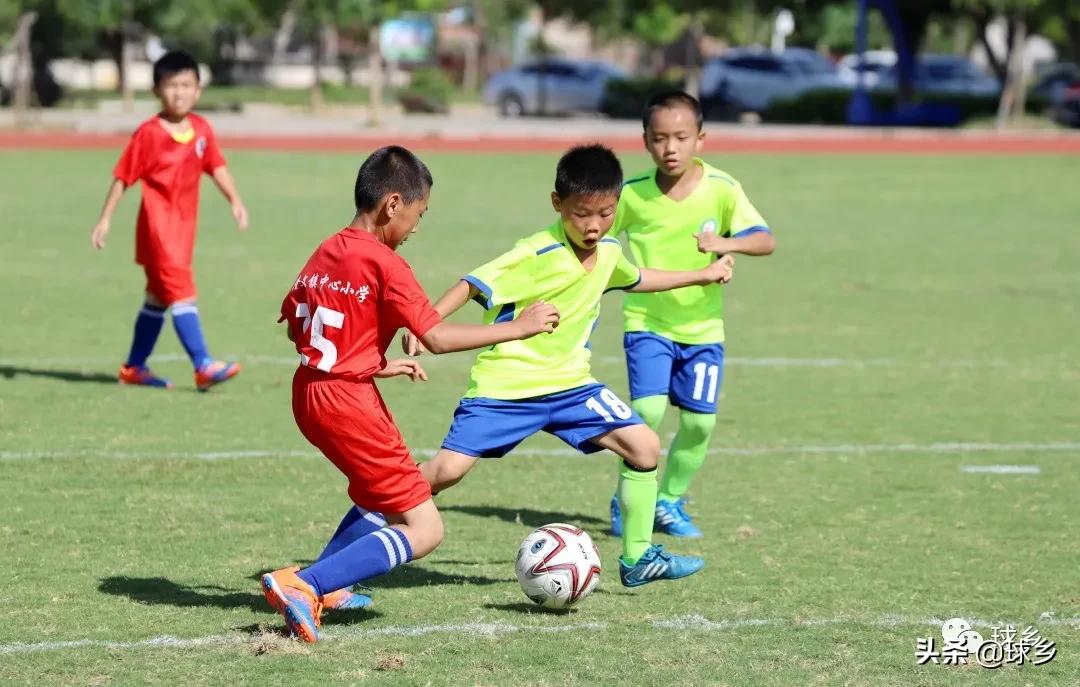 区中小学足球联赛,体教融合杯中学篮球赛