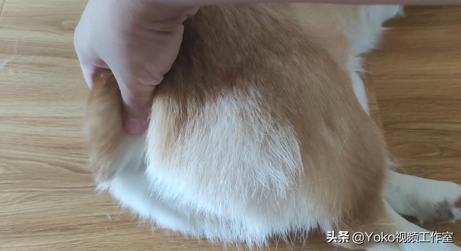 网购电脑怎么看配置,网购电脑怎么检查是新机