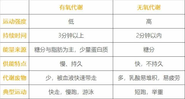 减肥做到这六点轻松瘦下来,了解几个减肥真相让你更快瘦下来